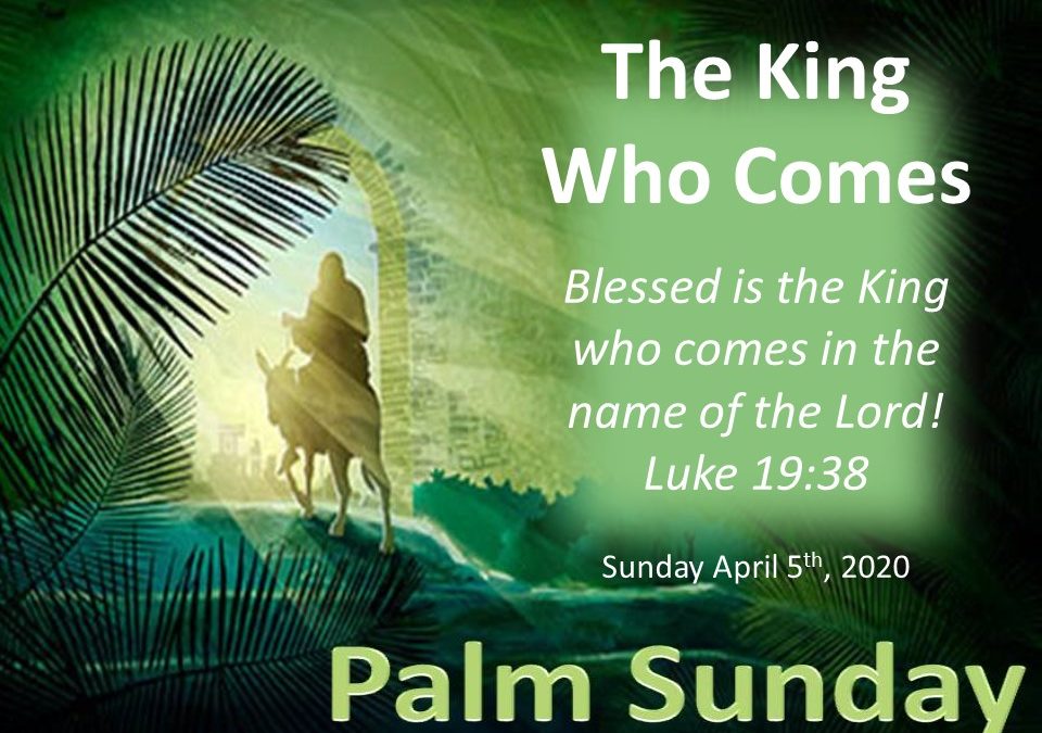 Palm Sunday April 5, 2020 Worship & Announcements Christ Lutheran